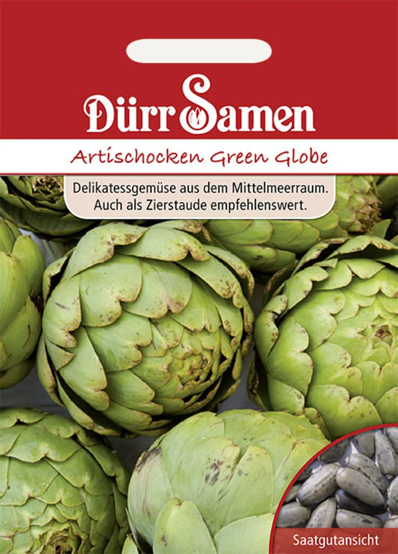 Artischocken Green Globe Saatgut