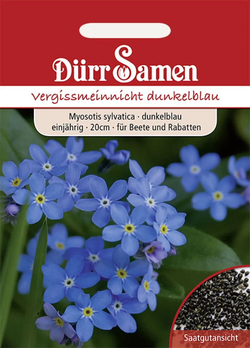 Vergissmeinnicht Blau Saatgut