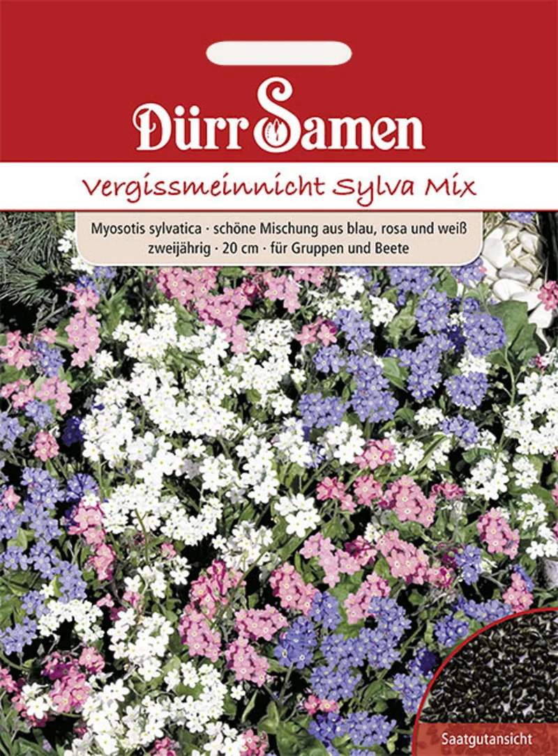 Vergissmeinnicht Sylva Mix gelb mit Auge Saatgut