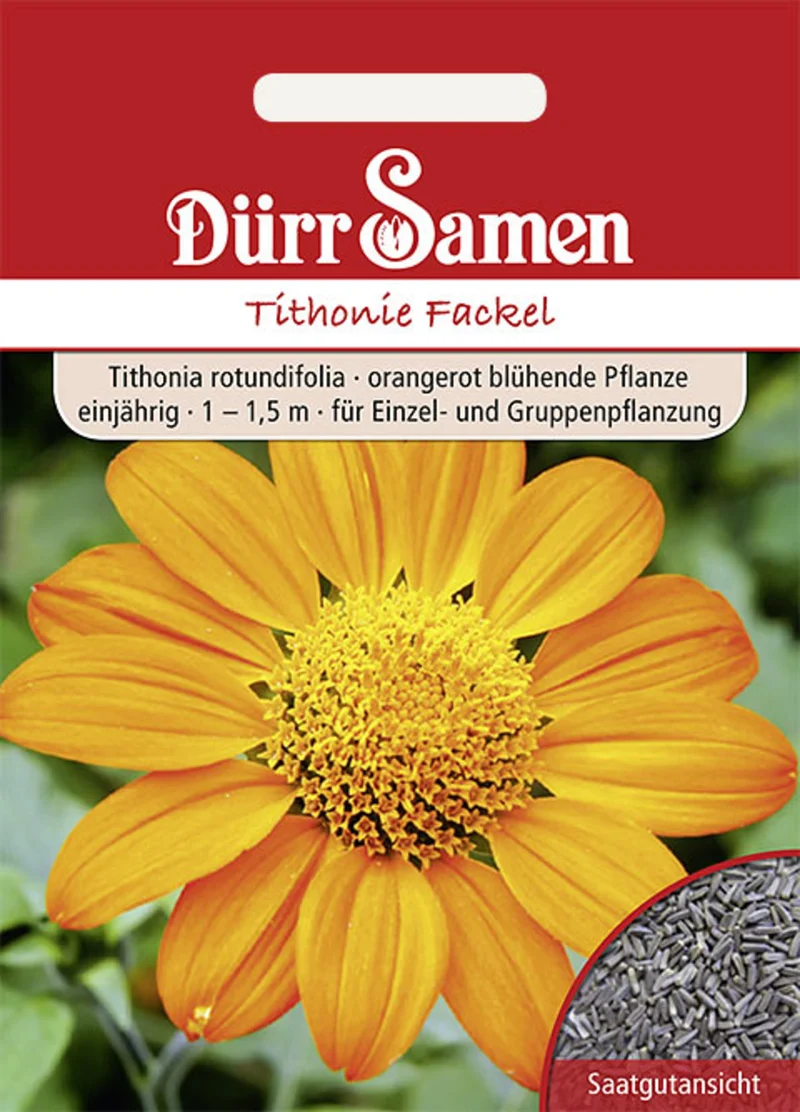 Tithonie Fackel orangerot Saatgut