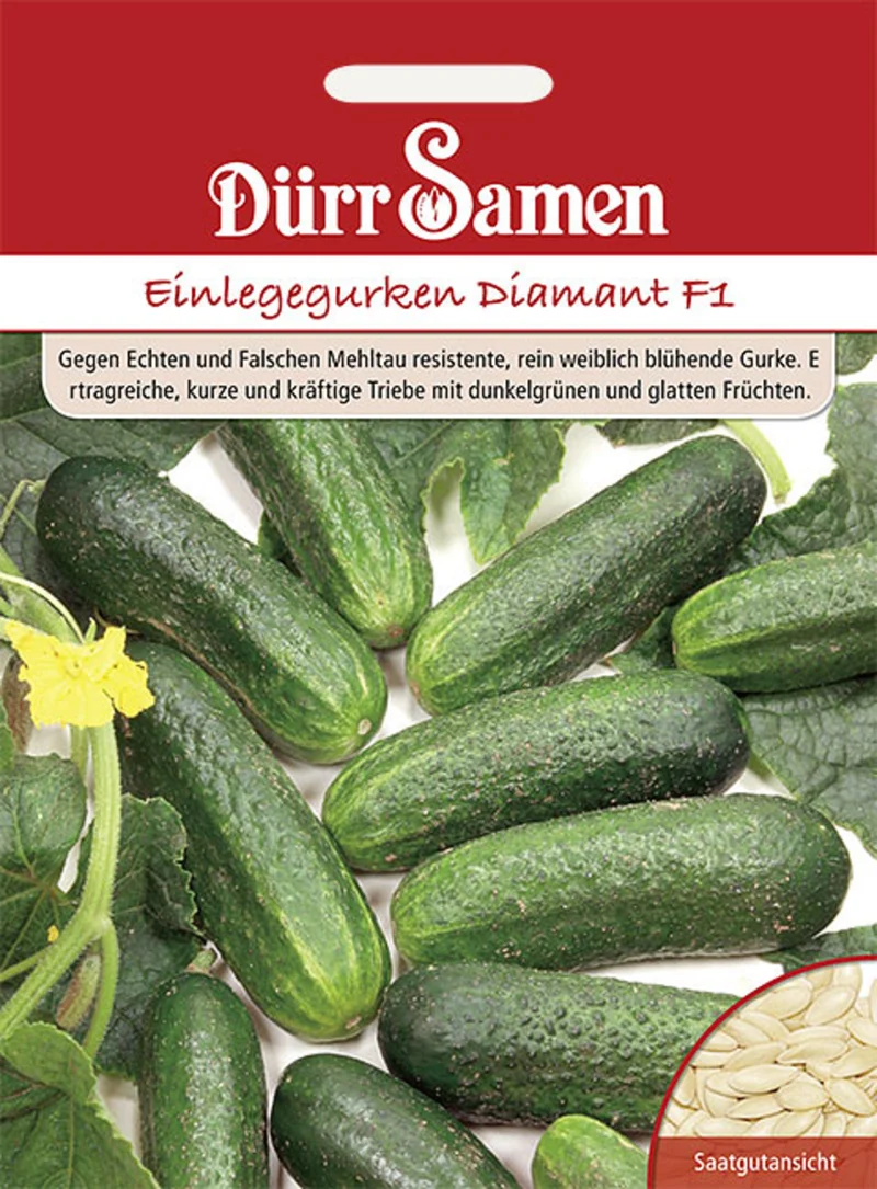 Einlegegurke Diamant F1 Saatgut