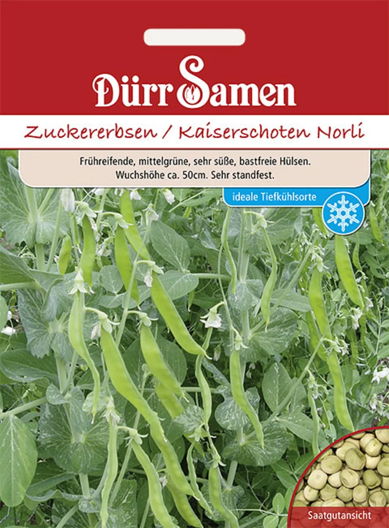 Zuckererbsen Norli Saatgut