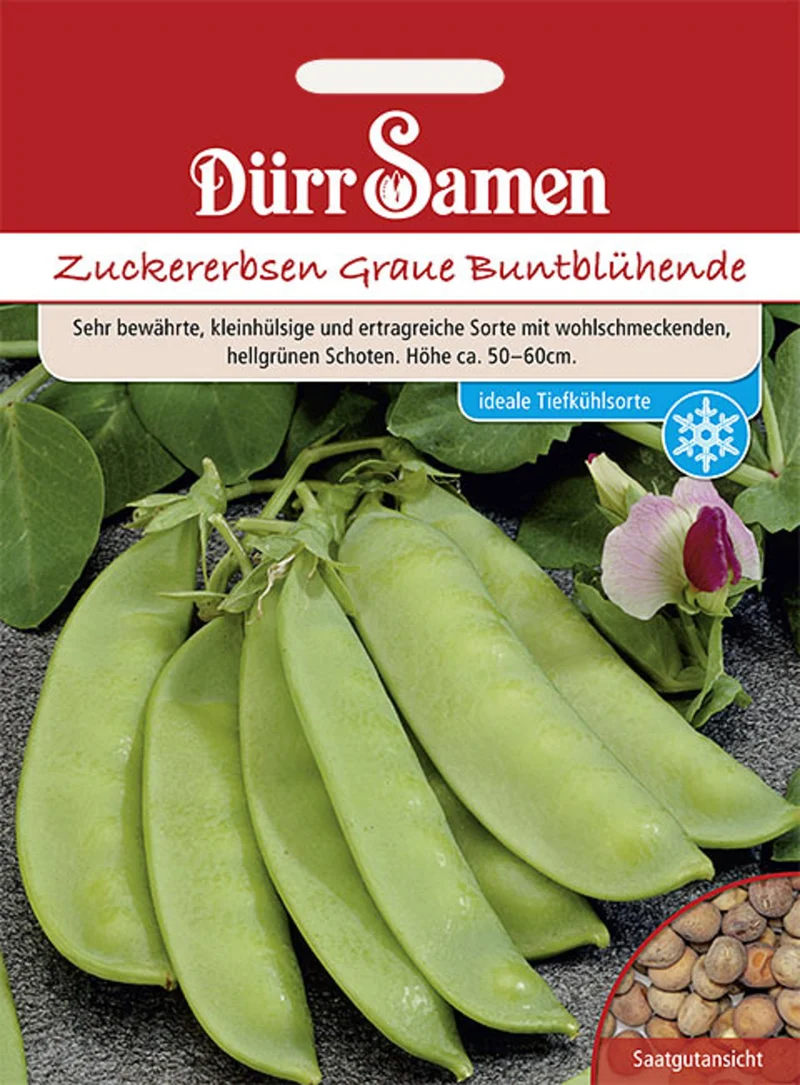 Zuckererbsen Graue Buntblühende Saatgut