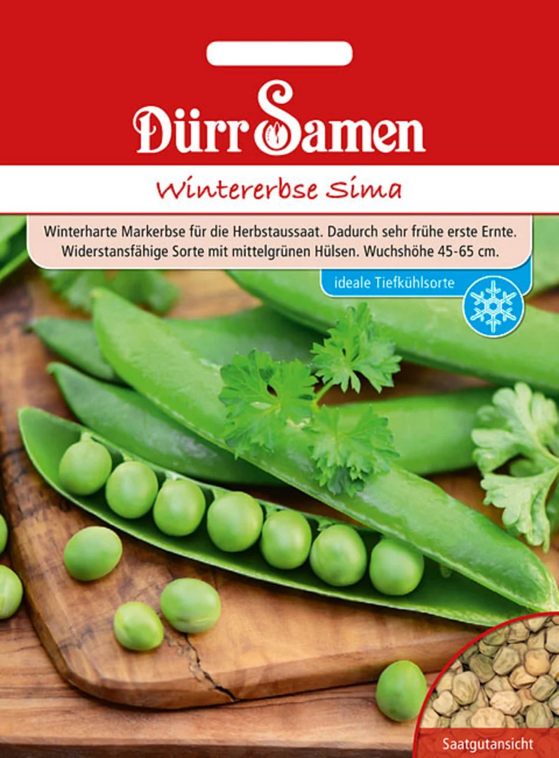 Wintererbsen Sima Saatgut