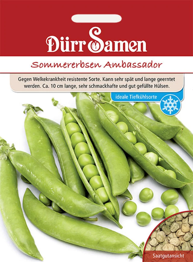 Sommererbsen Ambassador Saatgut