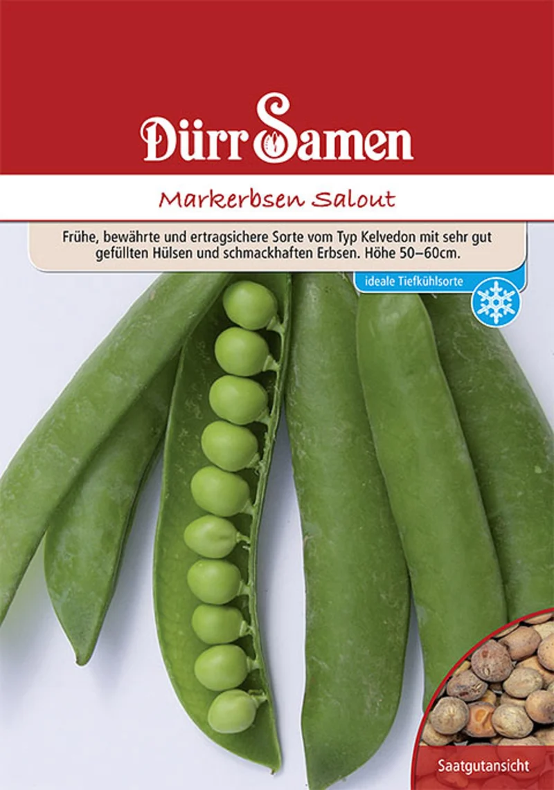 Markerbse Salout 250 g Saatgut