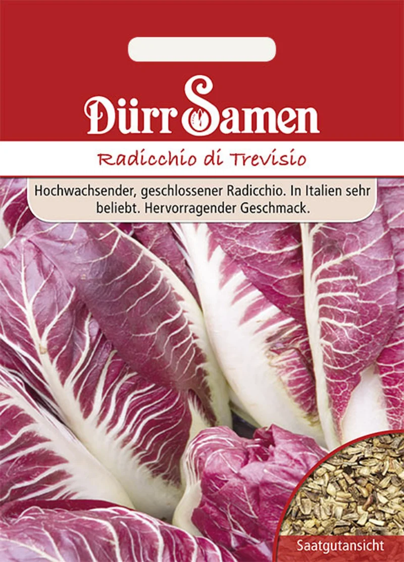 Radicchio di Treviso Saatgut