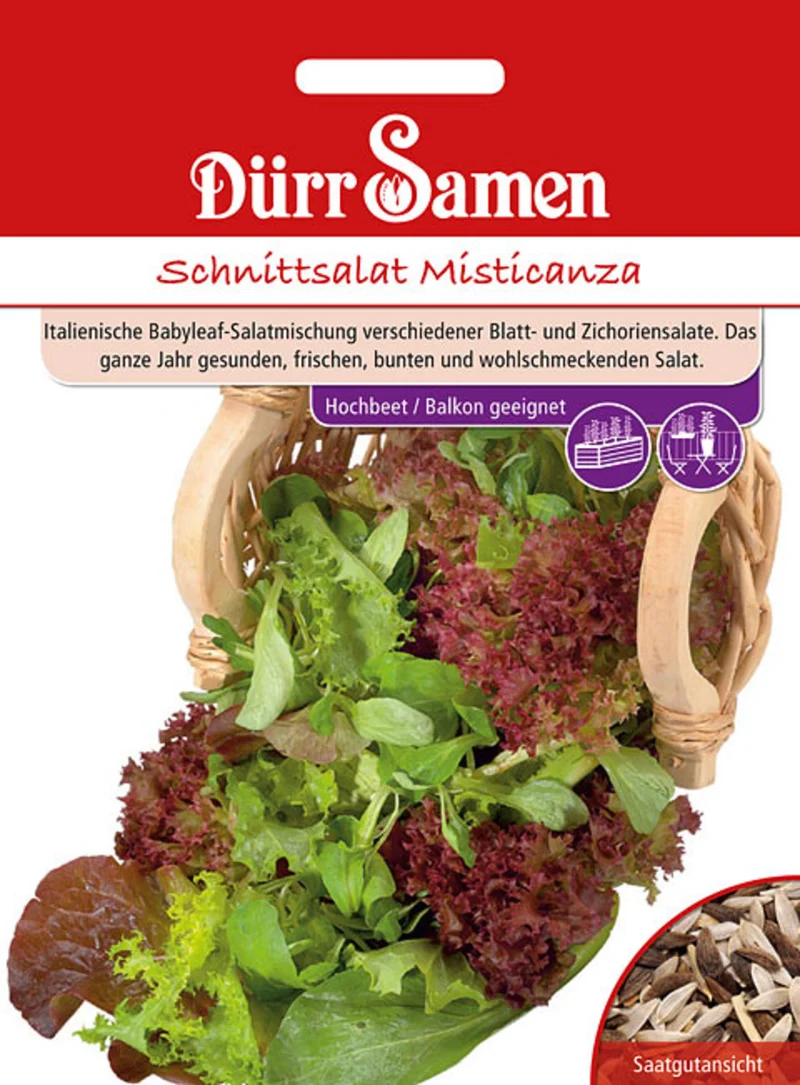 Schnittsalat Misticanza Saatgut