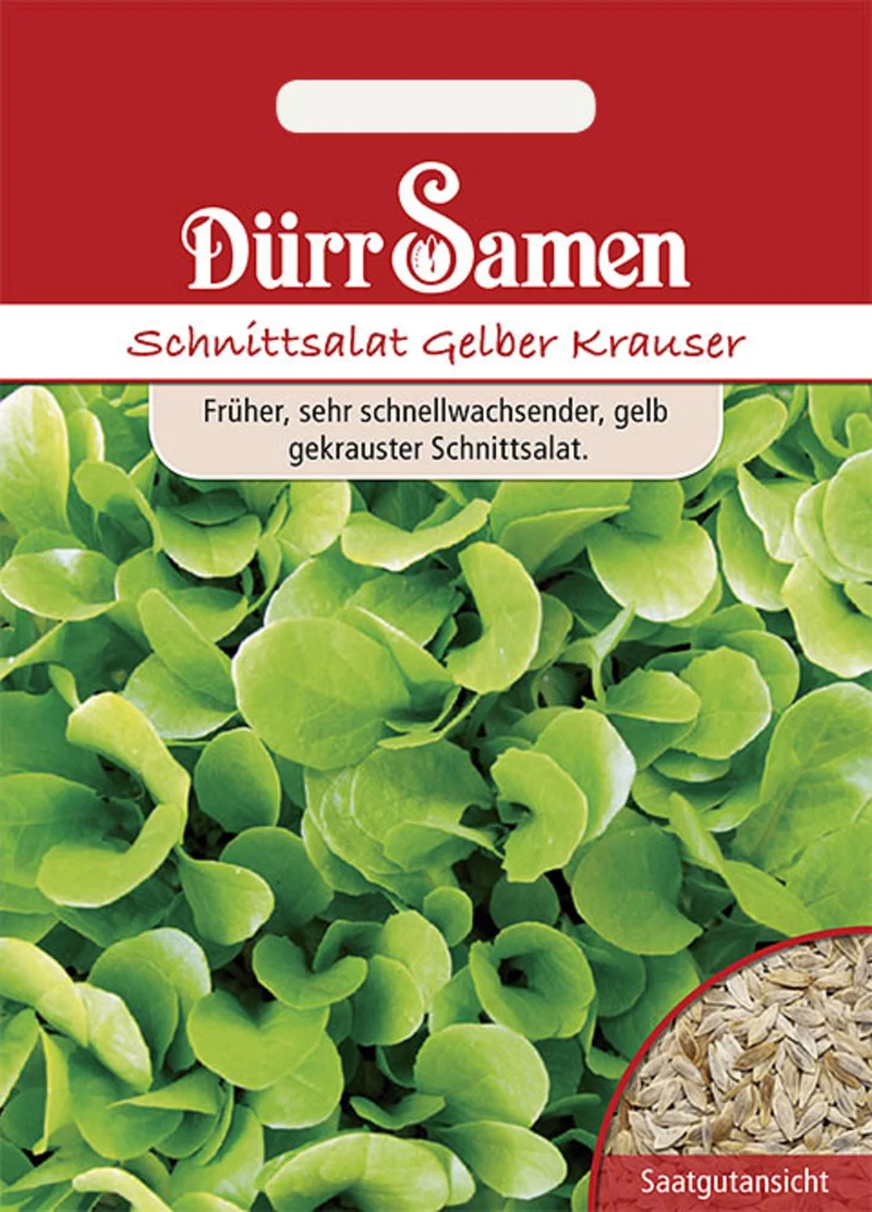 Schnittsalat Gelber Krauser Saatgut