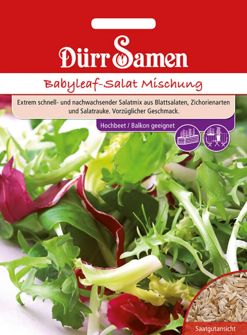 Babyleaf Salat Mischung für Balkon und Freiland Saatgut