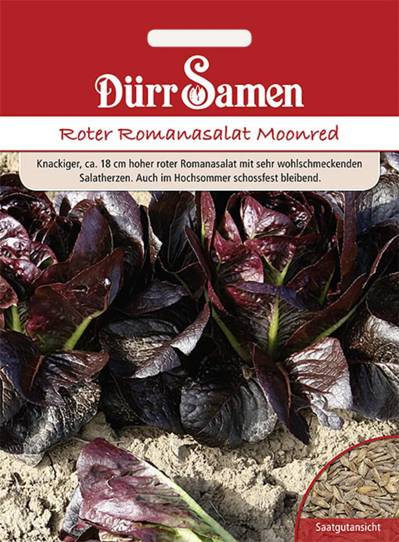 Romana Salat Moonred Saatgut