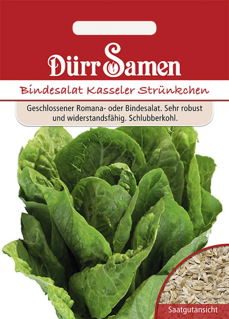 Bindesalat Kasseler Strünkchen Saatgut