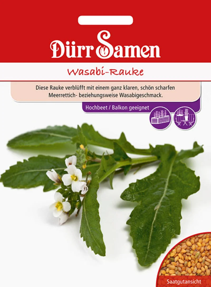 Wasabi Rauke Saatgut
