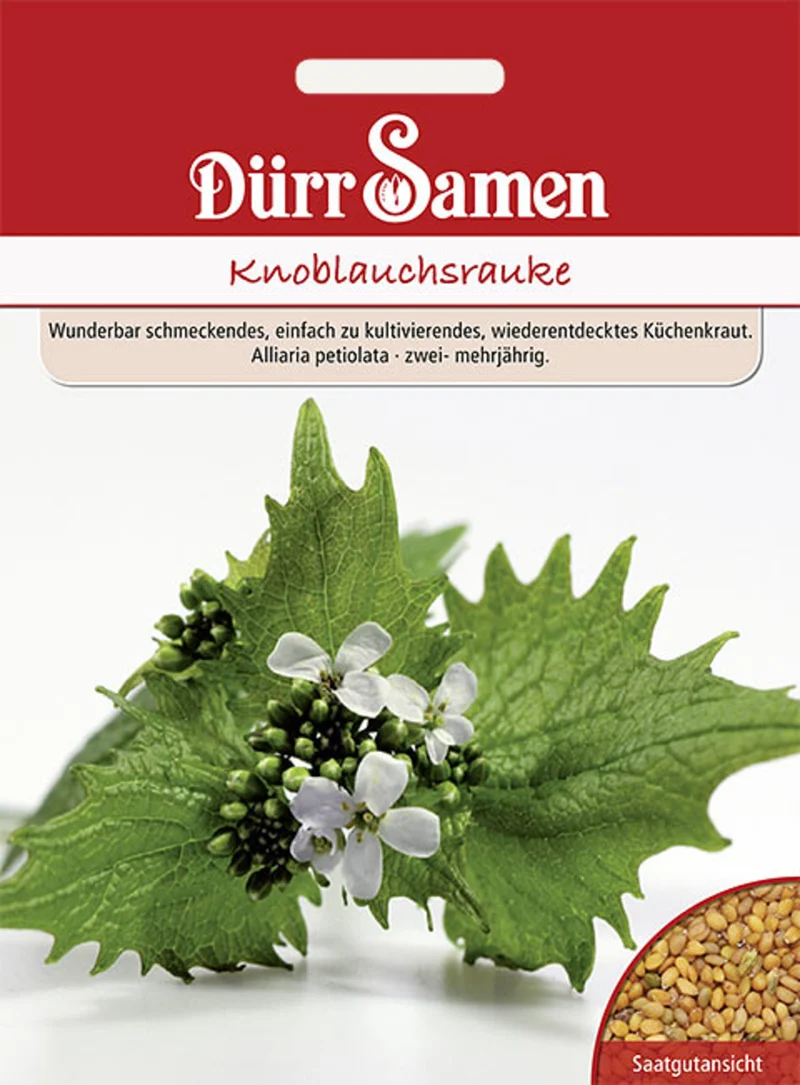 Knoblauchrauke Saatgut