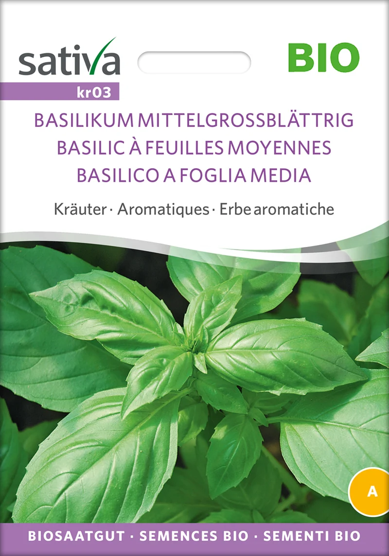 Basilikum Grossblättrig | BIO Basilikumsamen von Sativa Rheinau [MHD 12/2025]