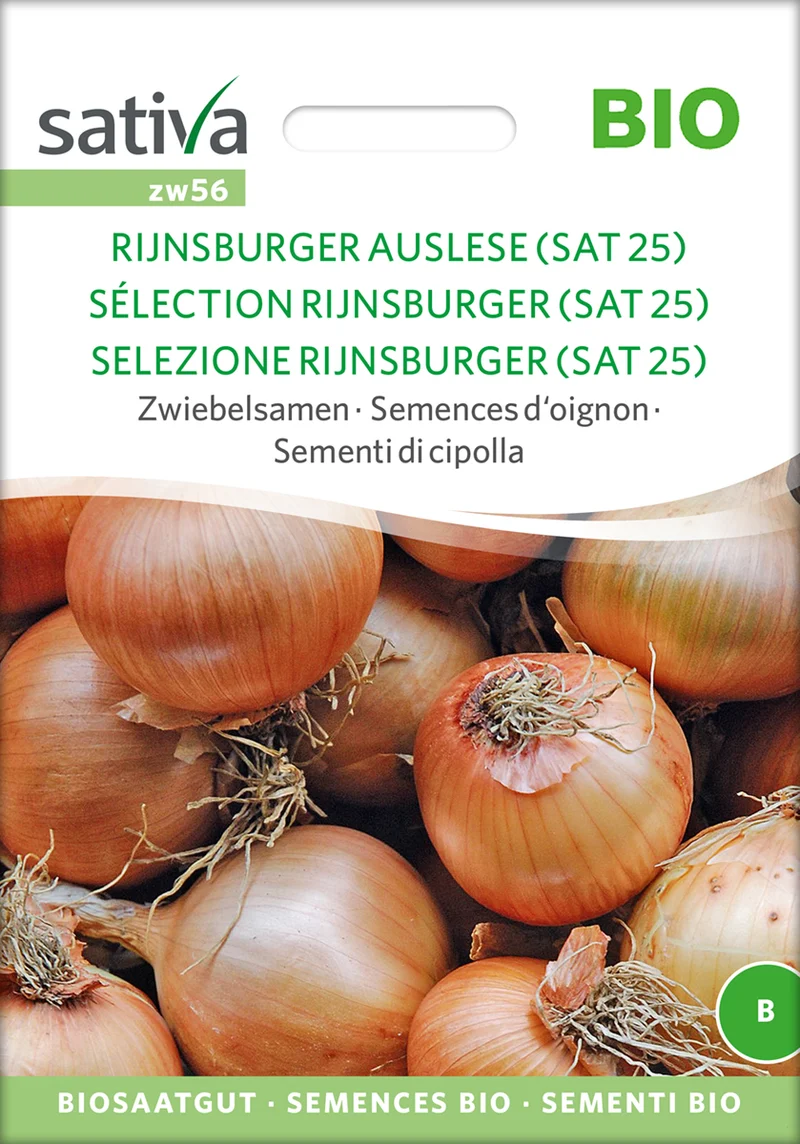 Zwiebelsamen Rijnsburger Auslese | BIO Zwiebelsamen von Sativa Rheinau [MHD 12/2025]