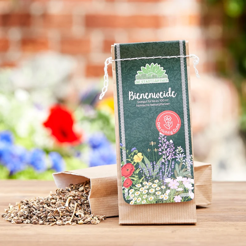 100 g Bienenweide-Saatgut