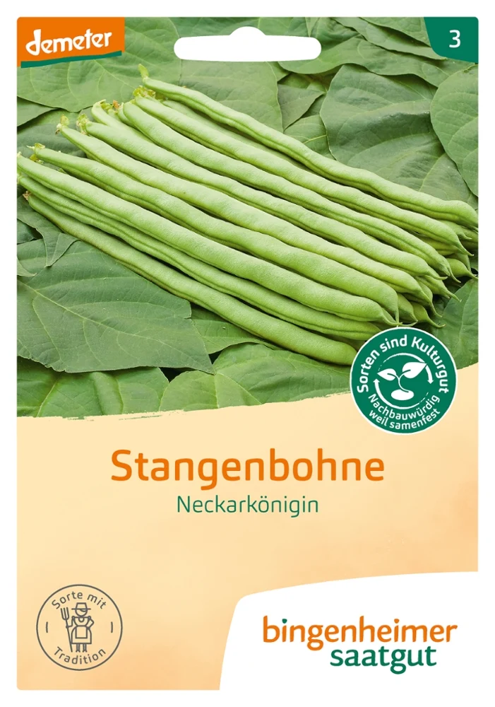 BIO Saatgut Stangenbohne Neckarkönigin