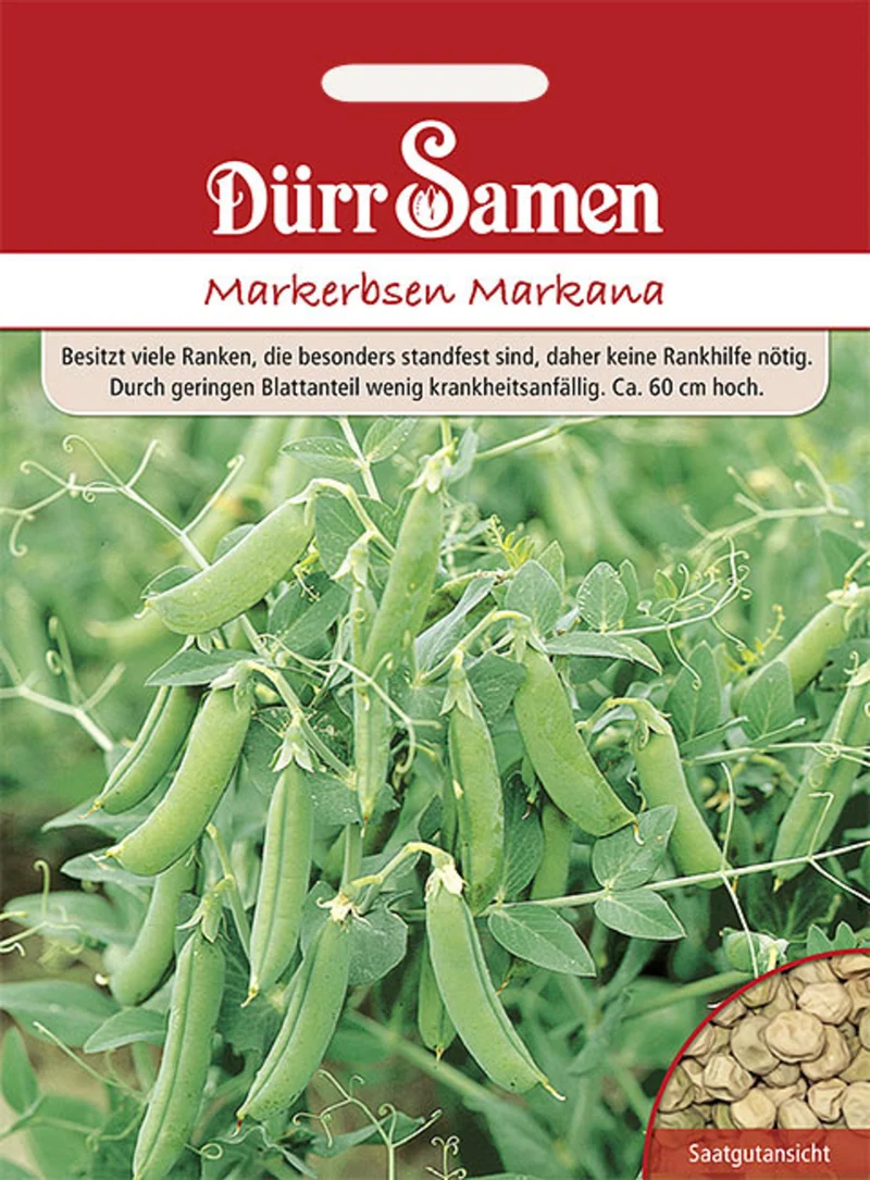 Markerbse Markana Saatgut