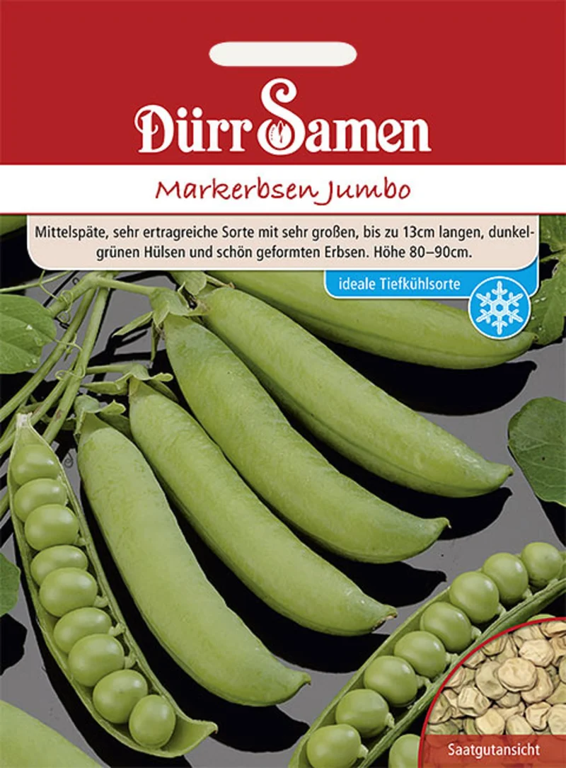 Markerbse Jumbo Saatgut