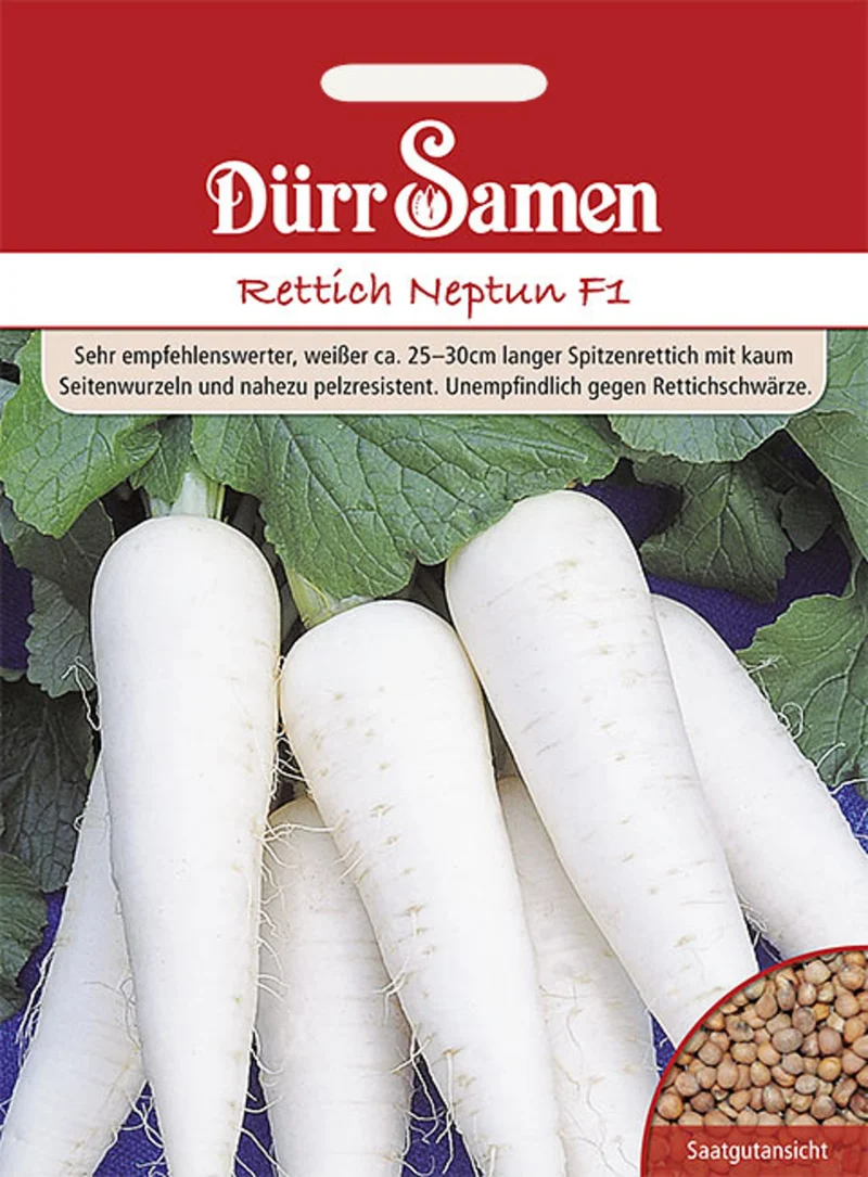 Rettich Neptun F1 Saatgut