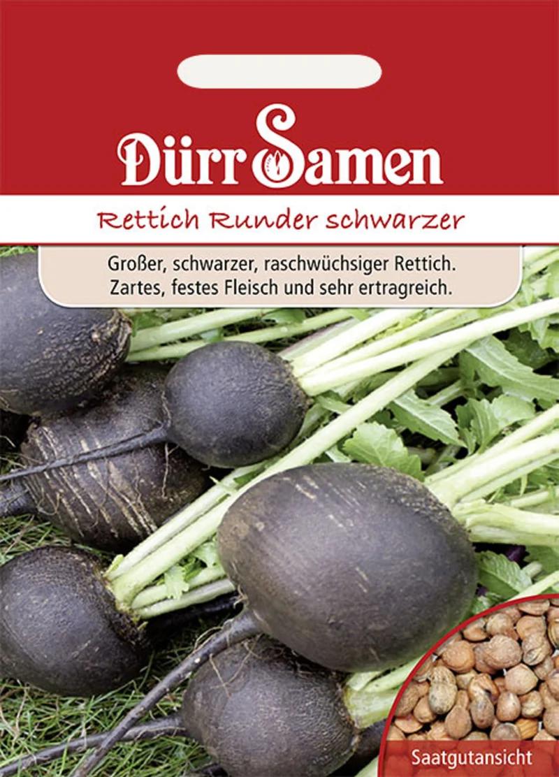 Winterrettich Runder schwarzer Saatgut
