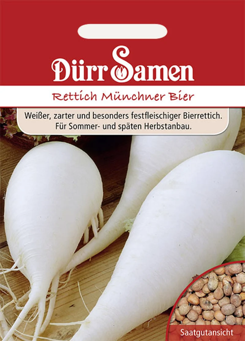 Winterrettich Münchner Bier Saatgut