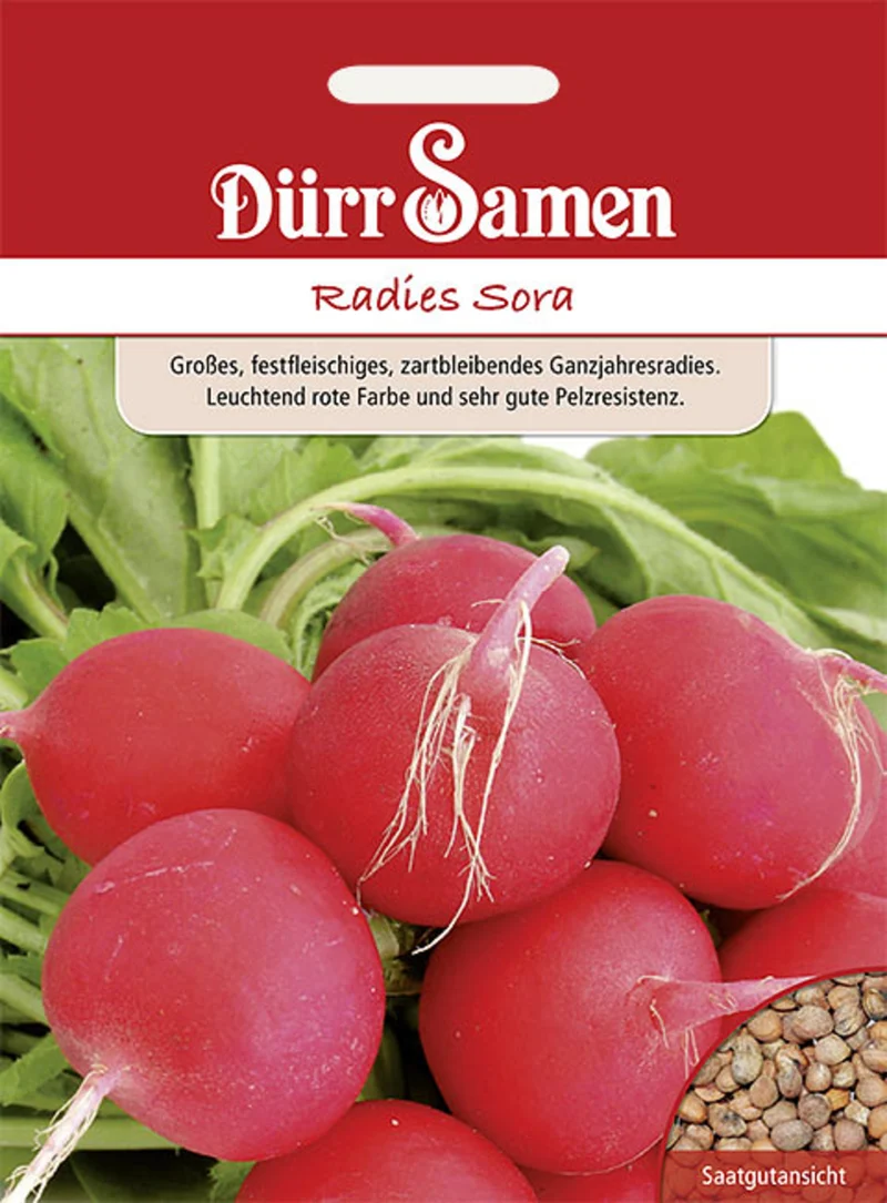 Radieschen Sora Saatgut