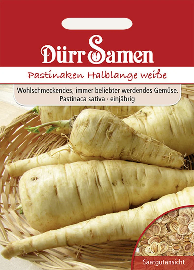 Pastinaken Halblange weiße Saatgut