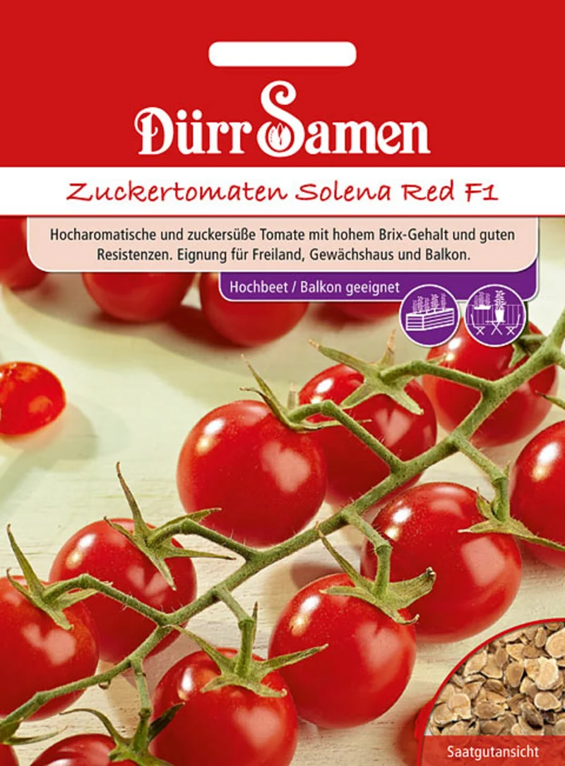 Zuckertomaten Solena Red F1 Saatgut