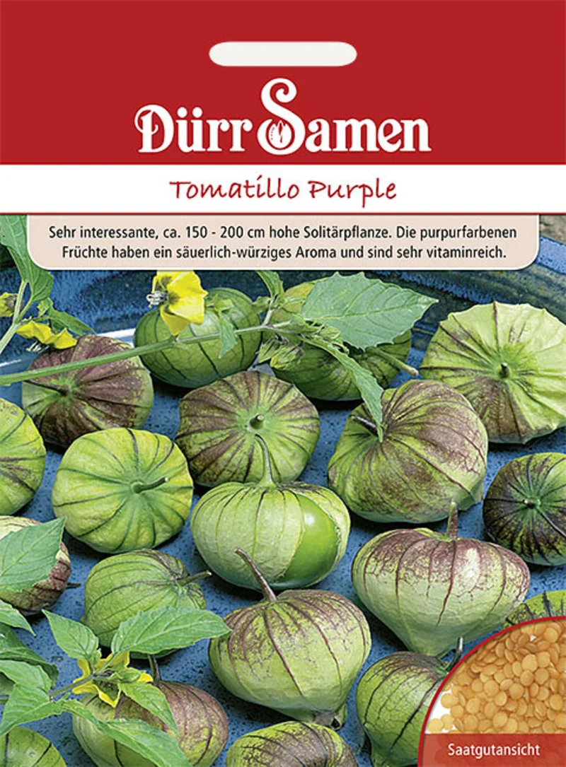 Tomatillo Purple Saatgut