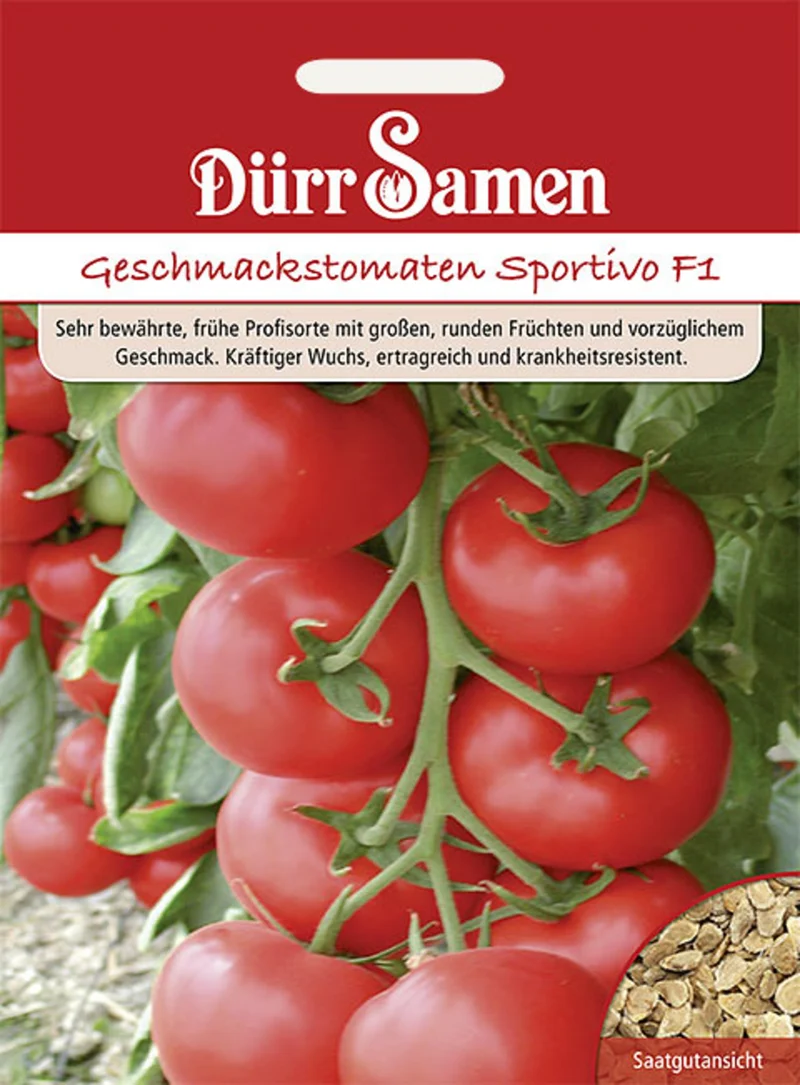 Tomate Sportivo F1 Saatgut