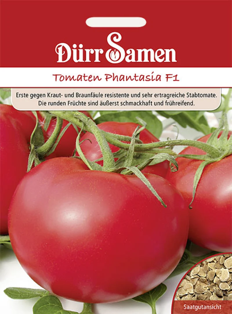 Tomate Phantasia F1 Saatgut