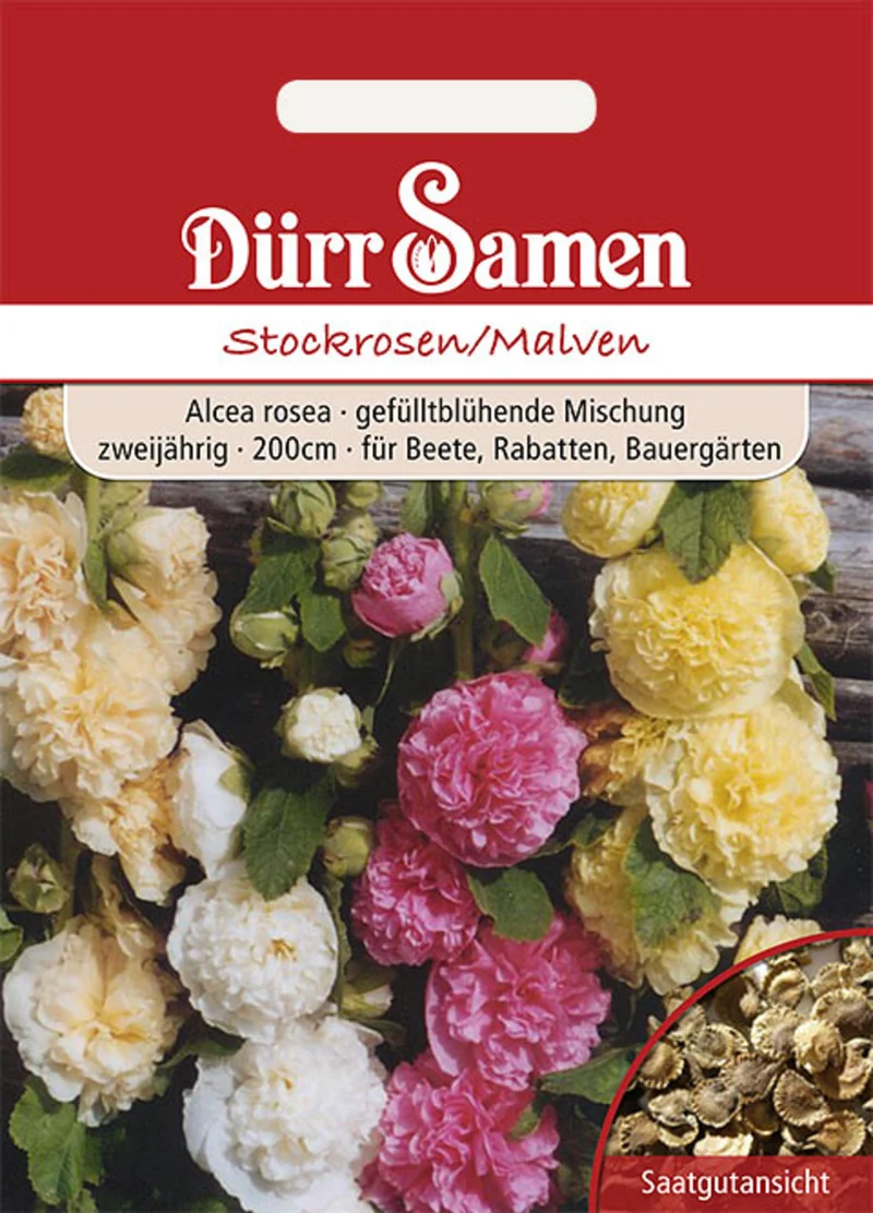 Stockrosen Malven Saatgut