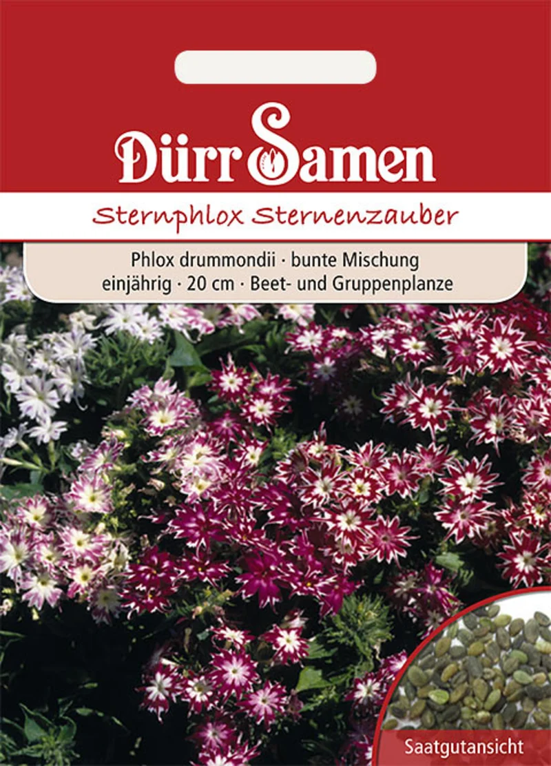 Sternphlox Mischung Saatgut