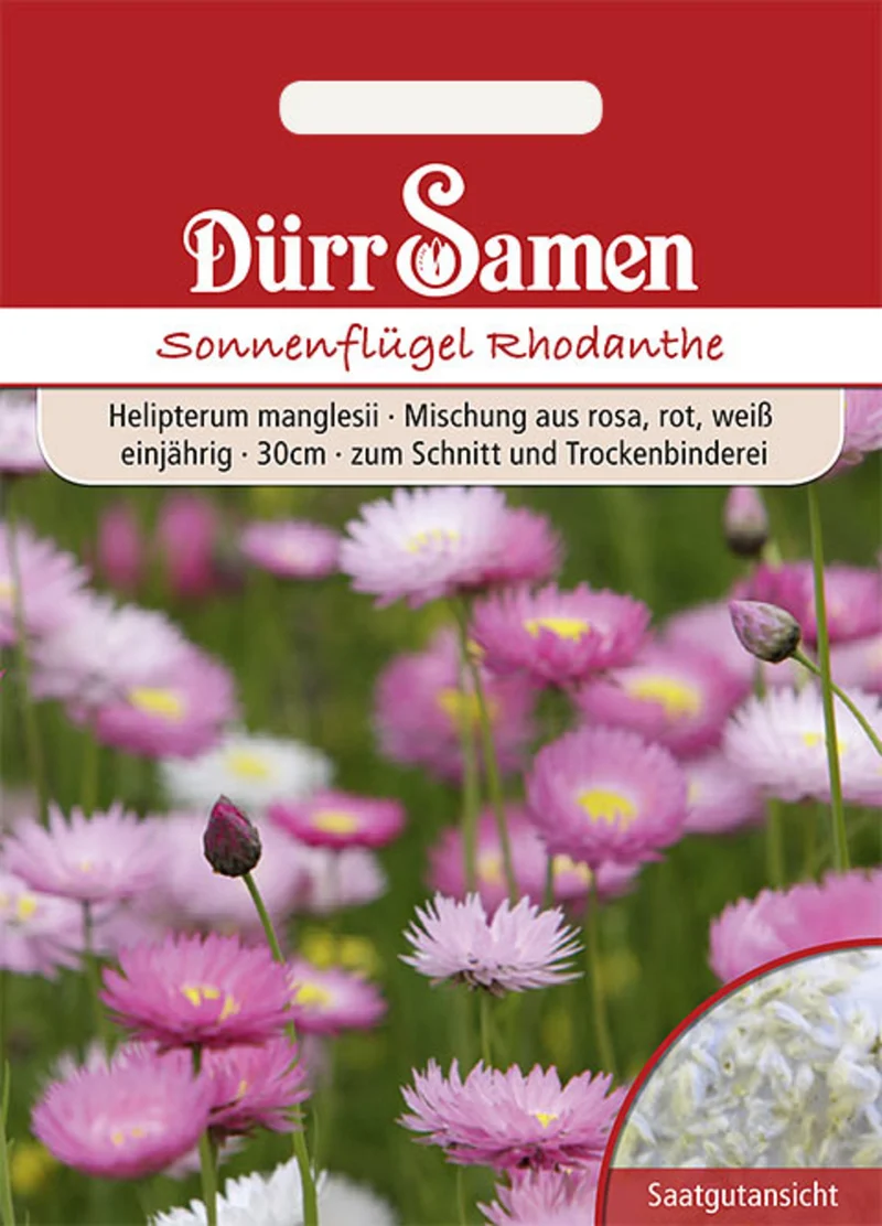 Sonnenflügel Saatgut