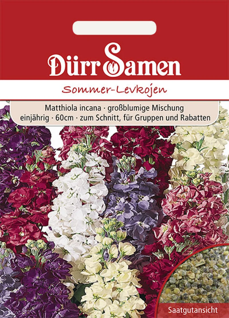 Sommer Levkojen Mischung Saatgut