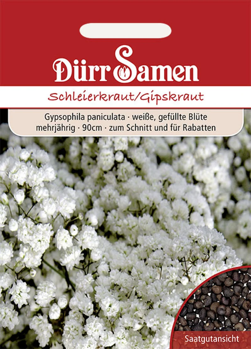 Schleierkraut gefüllt weiße Blüten Saatgut