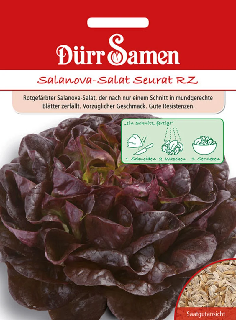 Salanova Salat Seurat RZ Saatgut
