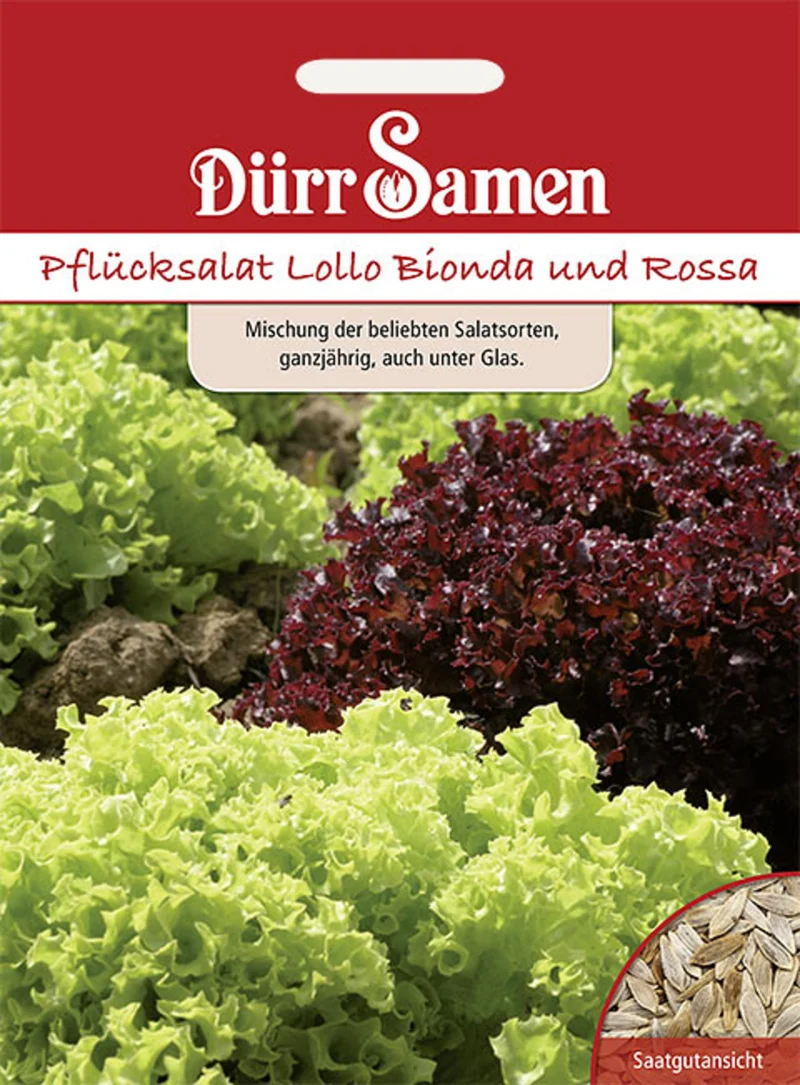 Pflücksalat Lollo Mischung Bionda und Rossa Saatgut