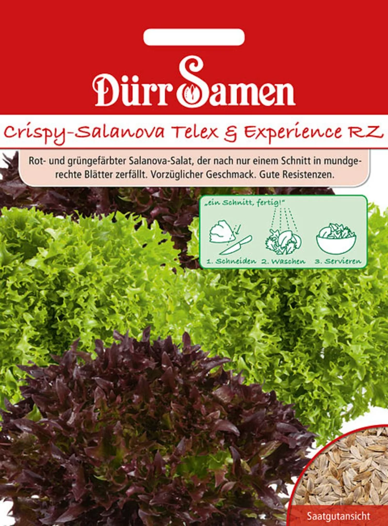 Crispy Salanova Telex und Experience RZ Saatgut