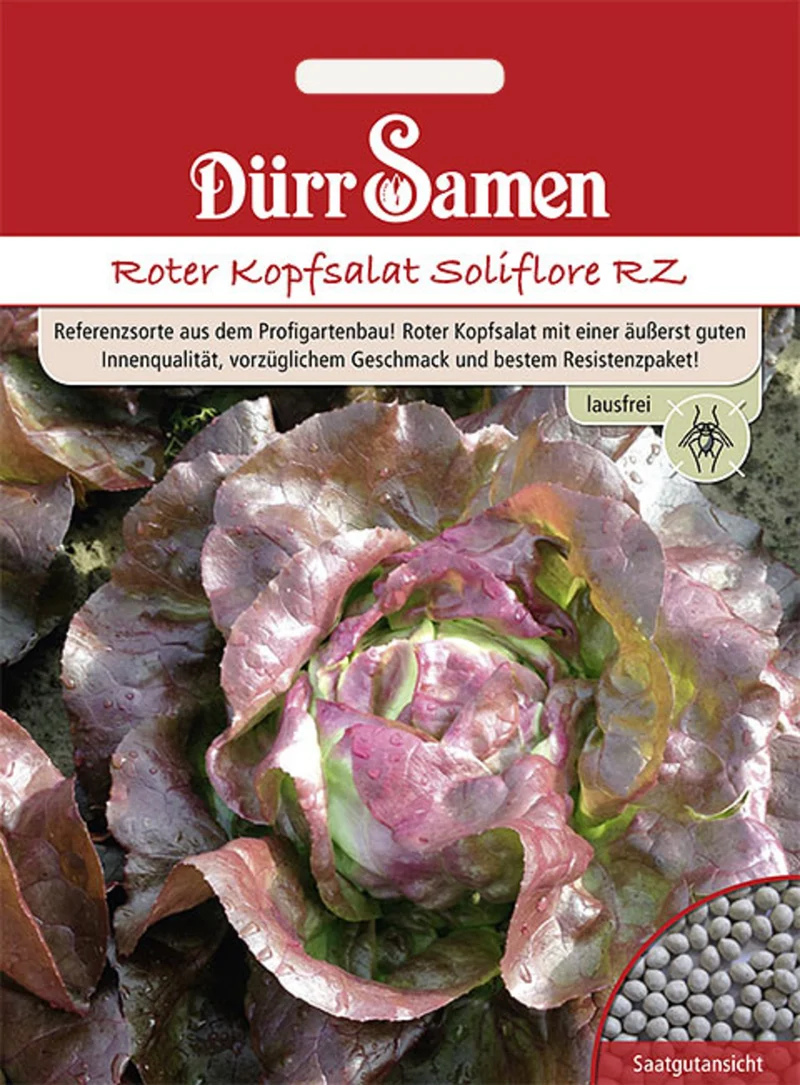 Roter Kopfsalat Soliflore RZ Saatgut