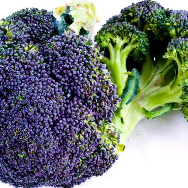 Broccoli: Purple Sprouting Organic Seed