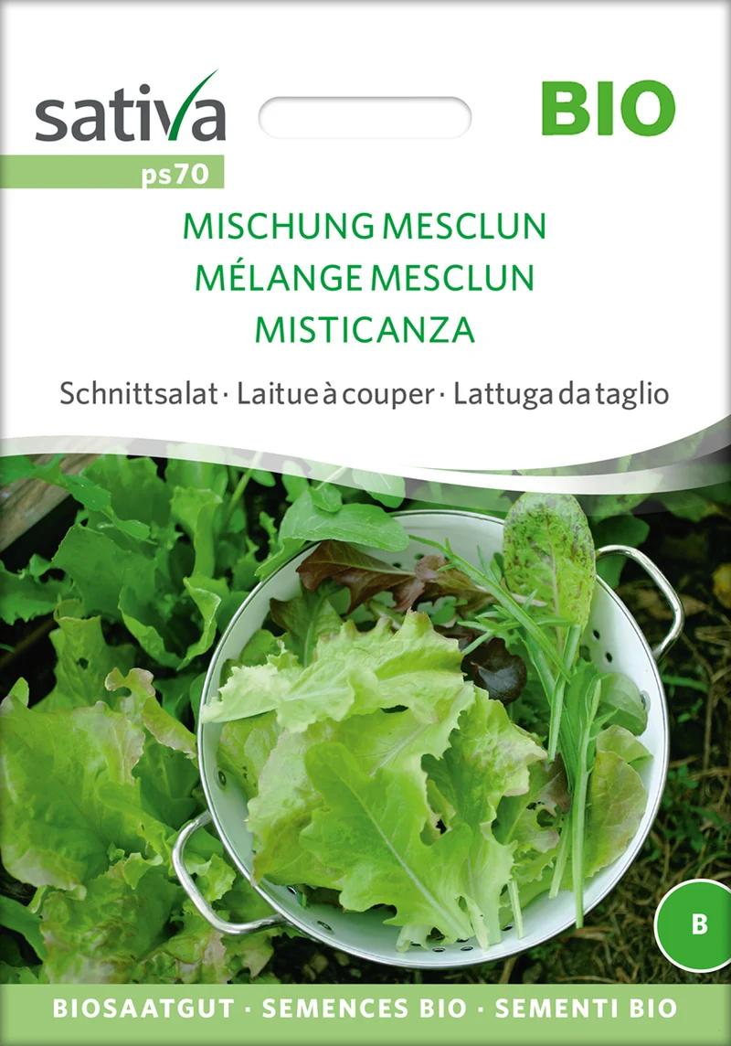 Schnittsalat Mischung Mesclun | BIO Salatsamen von Sativa Rheinau [MHD 12/2026]