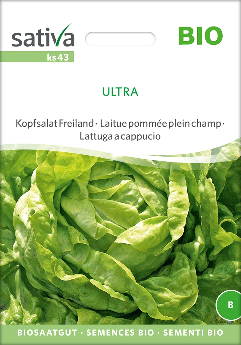 Kopfsalat Freiland Ultra | BIO Kopfsalatsamen von Sativa Rheinau [MHD 12/2025]