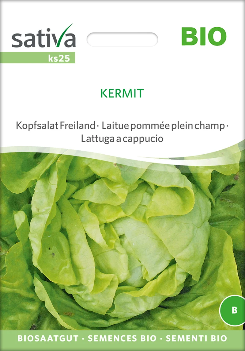 Kopfsalat Freiland Kermit | BIO Kopfsalatsamen von Sativa Rheinau [MHD 12/2025]