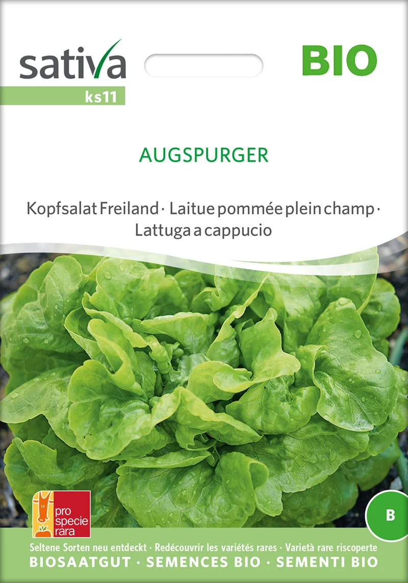 Kopfsalat Freiland Augspurger | BIO Kopfsalatsamen von Sativa Rheinau [MHD 12/2026]