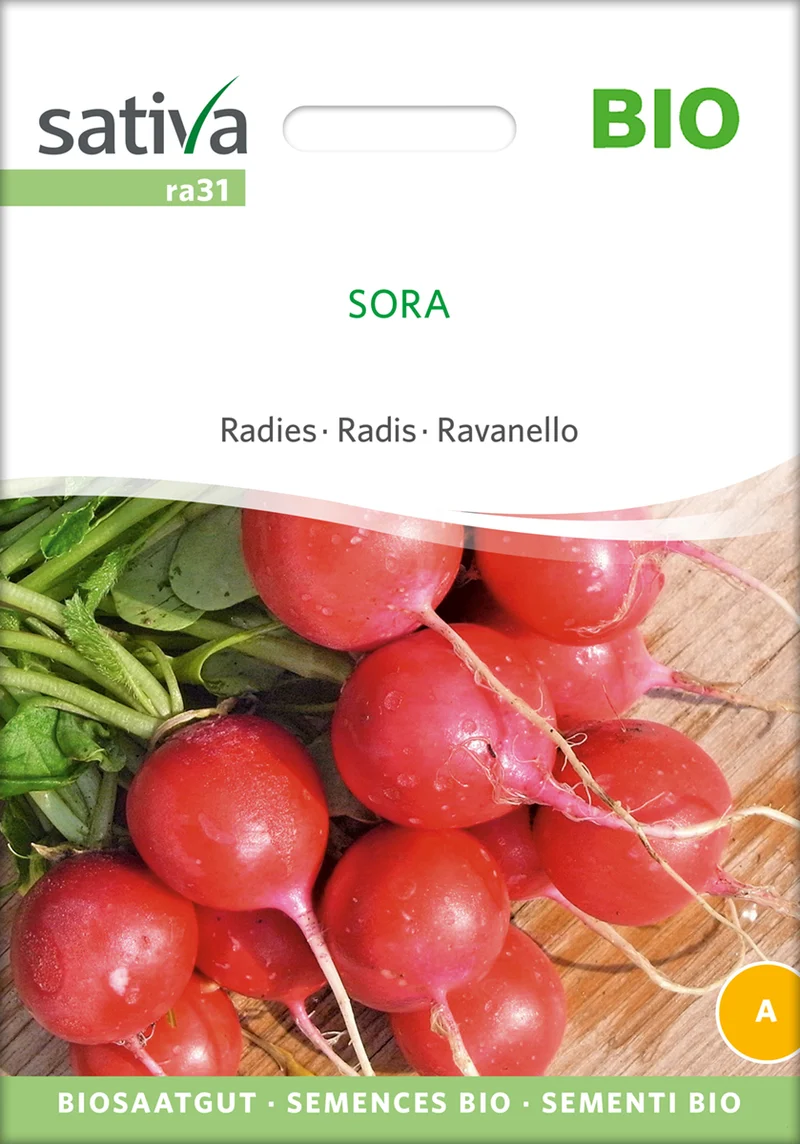 Radies Sora | BIO Radieschensamen von Sativa Rheinau [MHD 12/2025]