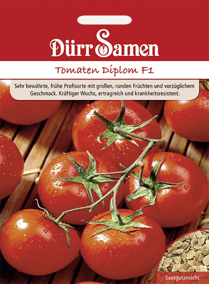Tomate Diplom F1 Saatgut