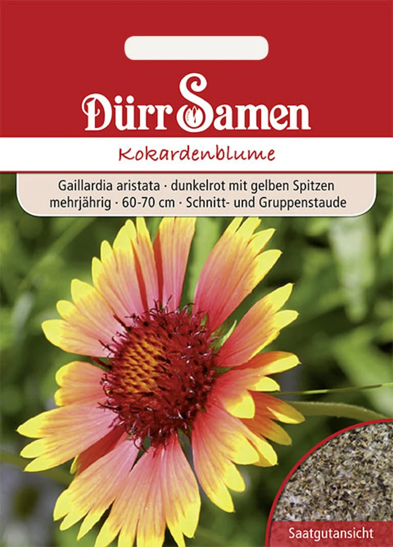 Kokardenblume dunkelrot mit gelben Spitzen Saatgut